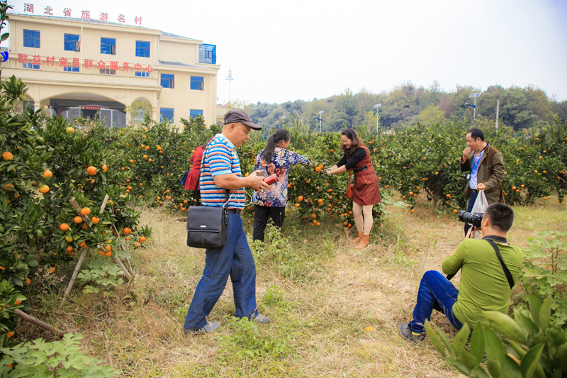 纪实r--梁湖农庄20141018_0053.jpg
