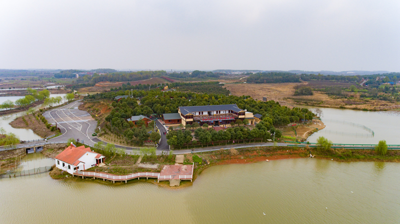 张红霞摄-梁湖农庄-DJI_0500.jpg